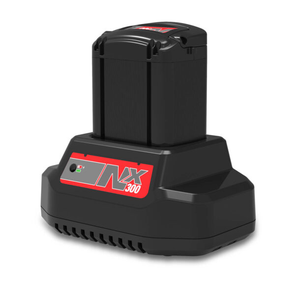 Batteria agli ioni di litio NX300